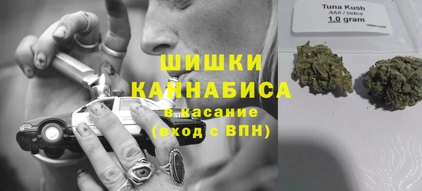 каннабис Осташков