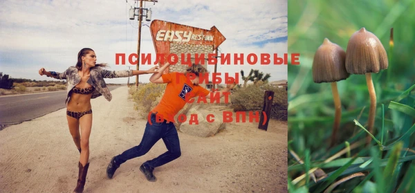 mdpv Вуктыл