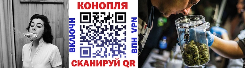 Конопля гибрид Адыгейск